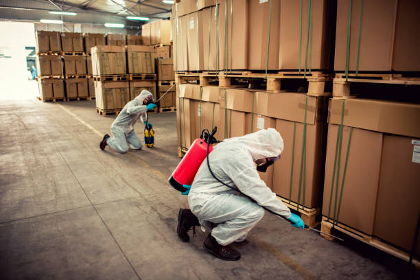 Best Termite Control Services  in Yakima, WA