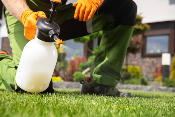Best Flea Control Services  in Yakima, WA