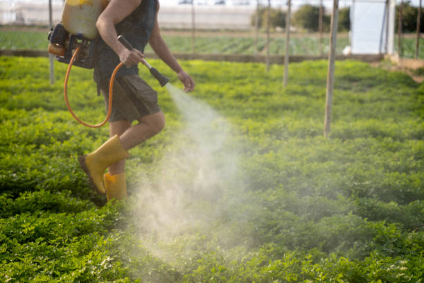 Best Pest Inspection Near Me  in Yakima, WA