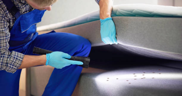 Best Local Pest Control Services  in Yakima, WA
