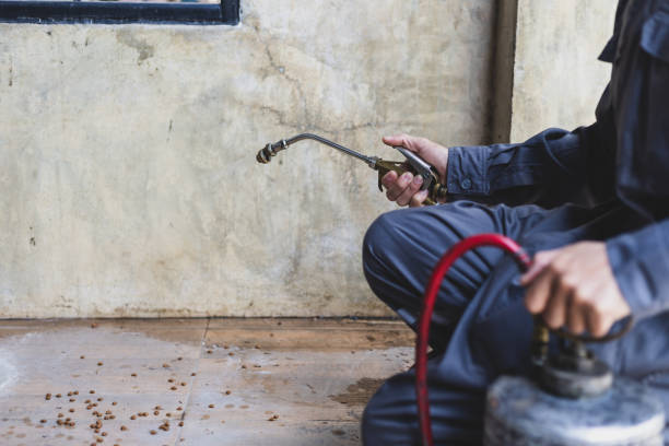 Best Pest Removal Services  in Yakima, WA