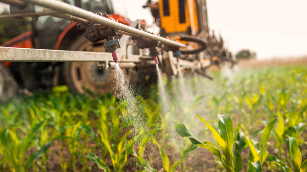 Best Pest Control for Homes  in Yakima, WA