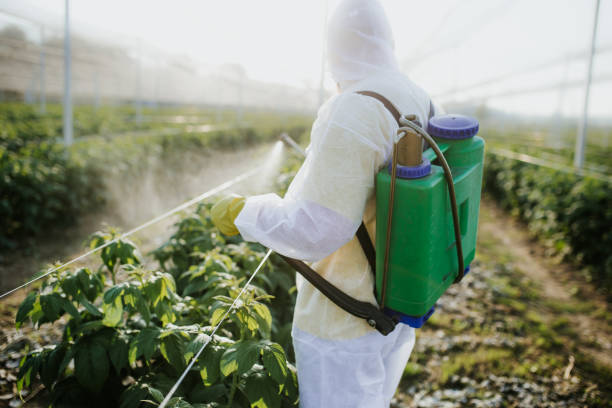 Best Pest Control Near Me  in Yakima, WA